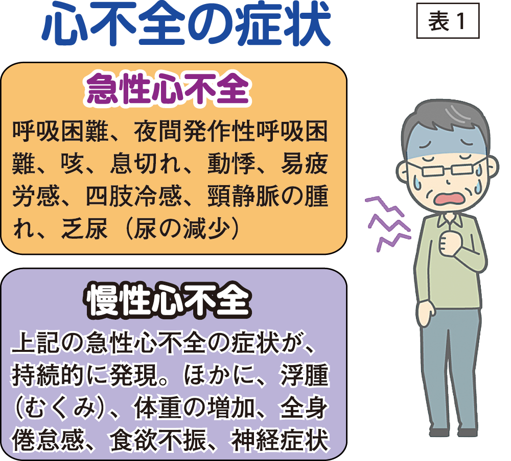 冬場に急増する高齢者の 心不全 病気を理解して 発作への対策を 公立昭和病院 循環器内科部長 田中茂博先生に聞く タウン通信